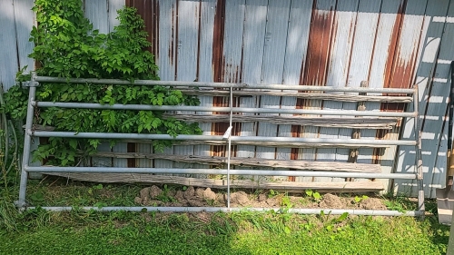 11.5ft Steel Gate