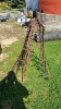 3-Section Diamond Harrow and Pole - 4