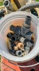 Lot of 1 1/2in Fittings and Hoses - 6