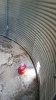 Weststeel Rosco 2200 Bushel Steel Grain Bin - 11