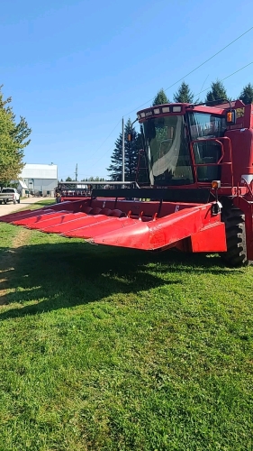 Case IH 1063 6 Row Corn Head