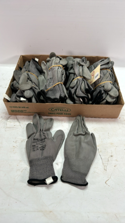 (24) Pair of XS Gloves