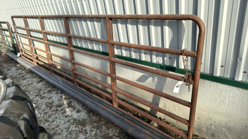 Heavy 17.5ft Gate - 49"H