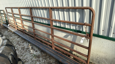 Heavy 17.5ft Gate - 49"H